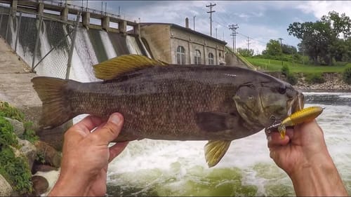 Bank Fishing Some Dam Bass