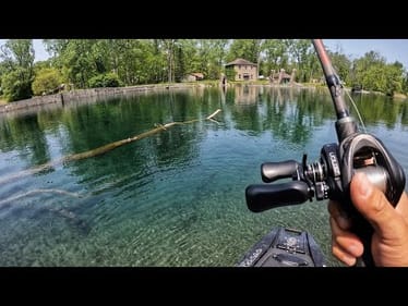 Clear water canal fish not where you expect them
