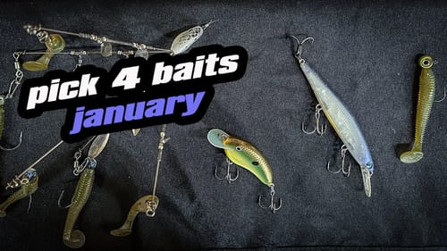 Pick 4 | Baits For January