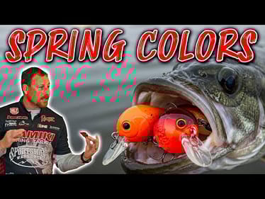 Thrift's Spring Bass Fishing Tips! BEST Colors for Clear & Dirty Water