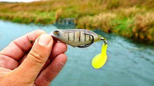 Pond Bass CRUSH Topwater Baits in the Fall Rain!!