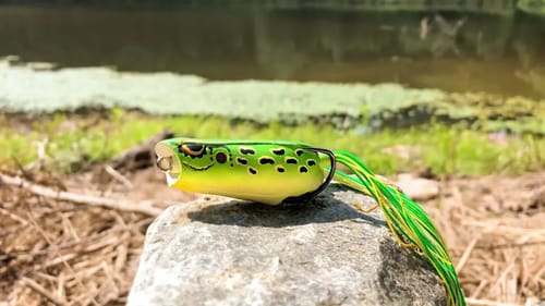 FROG Fishing Challenge with Crazy DAD (HUGE BASS)