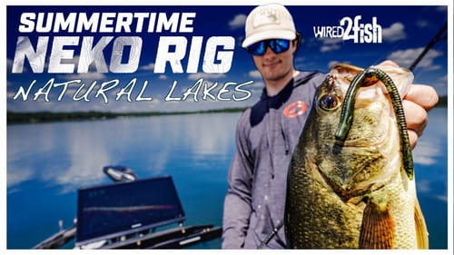 Fothergill's Neko Rig Secrets for Summer Bass