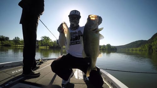 Bass Fishing with the Megabass 10 Inch Magdraft Swimbait