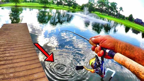 This Pond Is LOADED With HUGE Bluegill!!! (A Day In The Life Of The Machine)
