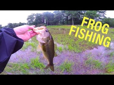 Catching Fish Out of FLOODED Field
