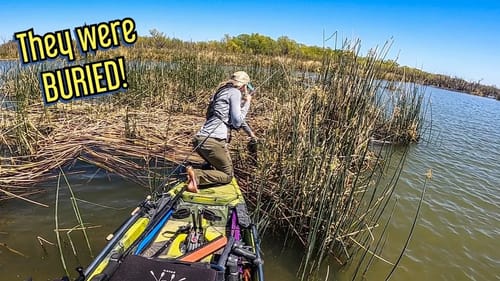 Flipping HEAVY COVER (Texas Tourney Recap)