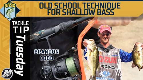 Brandon Cobb's old school technique for bass around the spawn