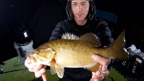 Ice Fishing Bass & Catfish 12-7-2012