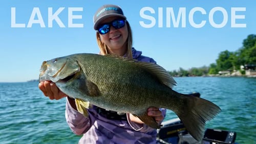 SMASHING Shallow Smallmouth - Lake Simcoe Bass Opener 2022 (Part 1)