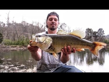ABSOLUTE FIRE DAY of BASS FISHING   || GIANT BASS NEW PB ||