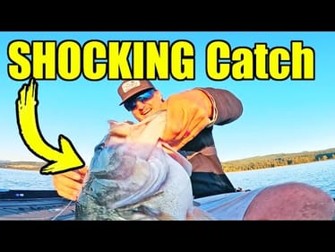 Unexpected GIANT Catch Fishing for the World Record Bass!