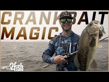 How to Fish Grasslines with Crankbaits