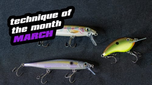 Technique Of The Month | March | Pre Spawn Progression