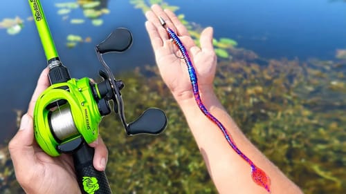 Fishing BIG Worms for BIG Bass (Pond Fishing)