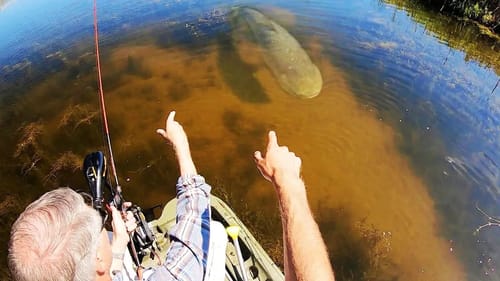 GET THE NET, DAD!!!! (POND MONSTER)