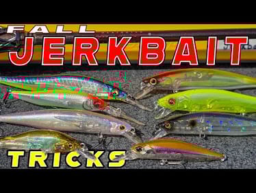 Early Fall Jerkbait Tricks For Bass! **Underwater Footage**