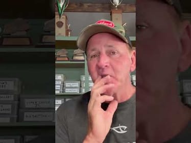 Jerkbait Trick