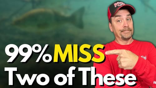 3 MOST Important Zones in Bass Fishing and Why