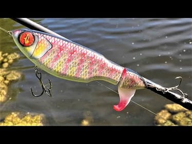 Massive Whopper Plopper | One Day Build to Catch
