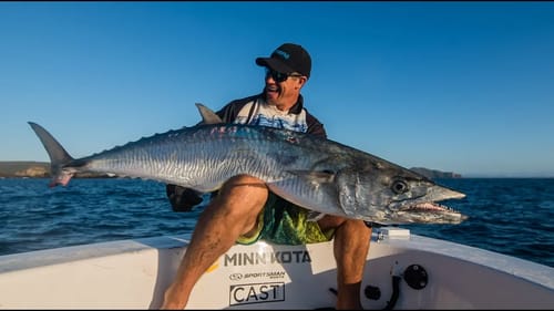 SHIMANO X CAST MAG - GRAPPLER TYPE C, STELLA 2019 SWC, OCEA 8 BRAID
