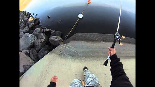 San Luis Reservoir(striper fishing)
