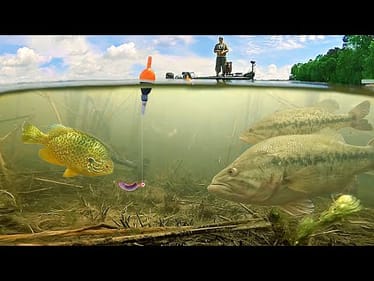 Incredible UNDERWATER Fishing!!! --BIG Bluegill and Bass Eating Jig w/ Nightcrawler!