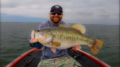 Summer Worm Fishing For Bass! How to Rig, Where To Fish, Which Worms Catch More Fish!