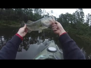 BASS FISHING THE WIND