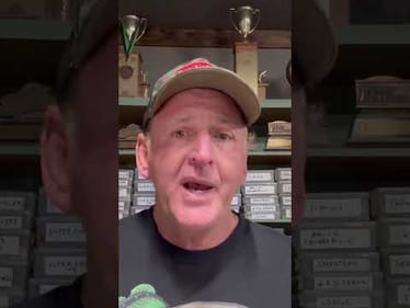 Never Fail To Detect A Strike Again