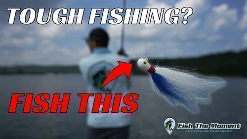 Can’t Get a Bite Offshore? This Bait Will Put Them In the Boat Fast!