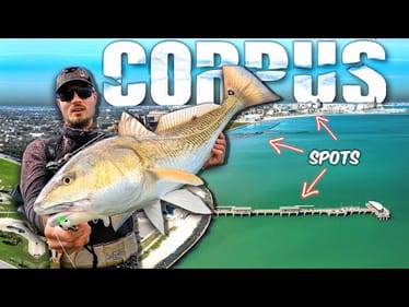 Urban Fishing Corpus Christi is Insane...  Fishing for Food