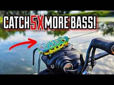 Bass DESTROYED This Frog (Popper SURPRISED Me!)