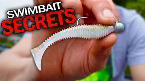 Mastering the KEITECH Swimbait: UNLOCK Late Summer + Fall Bass FISHING Secrets