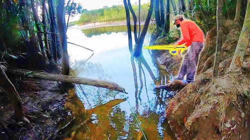 CREEK FISHING in the AMAZON!!! (STRANGE CATCHES)