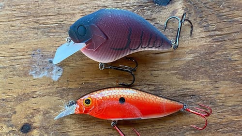 Breaking The Myth That Red Is The Best Springtime Lure Color