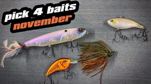 Pick 4 | Baits For November