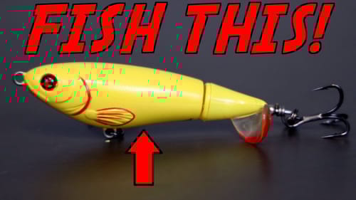 EVERY Fisherman Should Know THIS About FALL Bass Fishing!