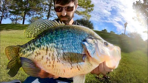 The CRAPPIE of a LIFETIME!!!