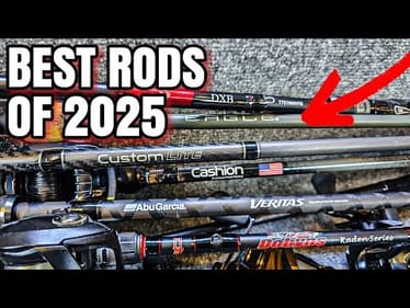 The BEST Fishing Rods of 2025! (No FAKE Reviews)