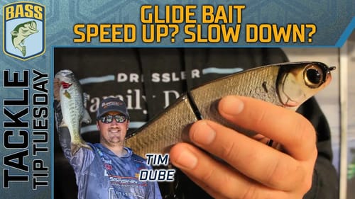 GLIDE BAIT speed and strategy during tournaments