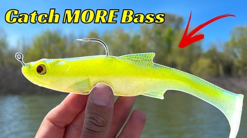DON’T Go Fishing Without These Top Baits For The Spring
