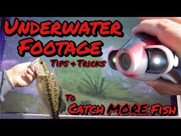 LIVE Underwater Camera Footage of Bass Biting Lures & Their Behavior | How to Find & Catch MORE Fish