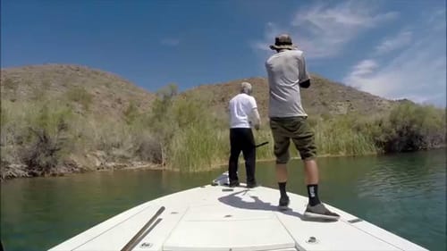 Big Bass Dreams Frog Fishing on Havasu - "May The Force Be With You" - Part 1