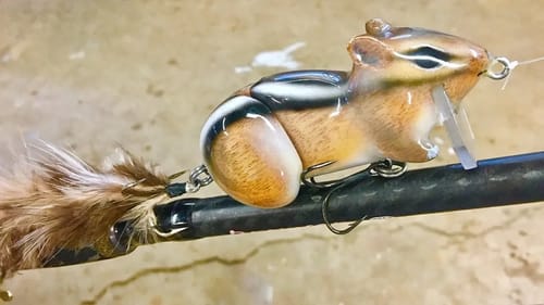 Making a Chipmunk Lure