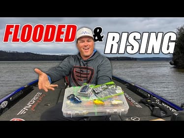 Lures for FLOODING and RISING Water Conditions