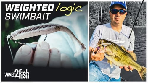 How to Rig and Fish Belly-Weighted Swimbaits
