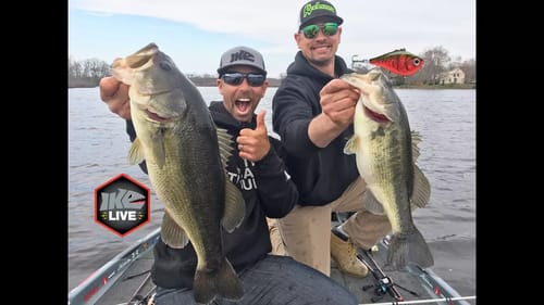 INSANE Spring Bass Fishing with Rattle Traps