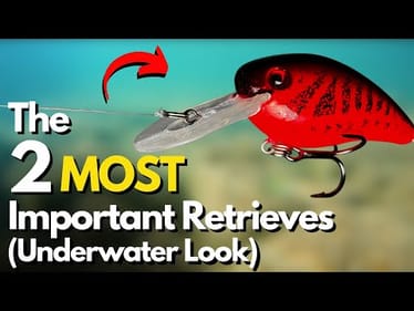 Master These TWO Retrieves for Crankbaits (Watch Underwater)