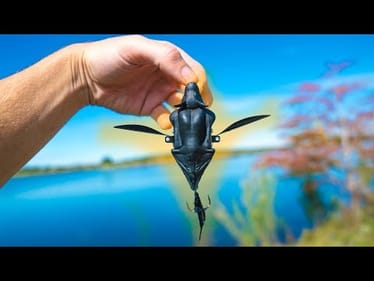 Halloween BAT LURE Fishing Challenge -- Do Bass Eat Bats?